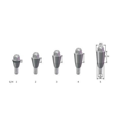 China Dental Implant Titanium CE Marking Implant Screw-Retained Abutment For Dental Implant for sale