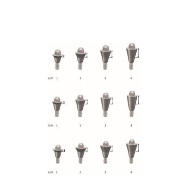 China Titanium Material Titanium Screw-Retained Dental Implant Restoration Abutment For Dental Implant Surgery for sale