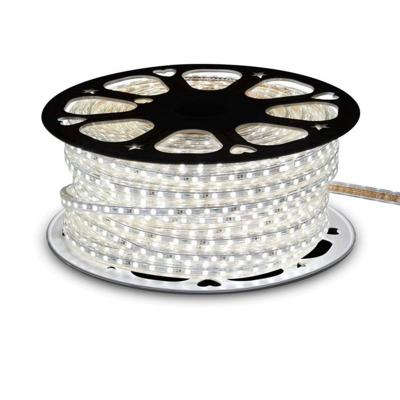 China Desktop 220V Led Flexible Strip SMD 5050 Waterproof Cool White Warm White RGB Led Strip Lights 110V for sale