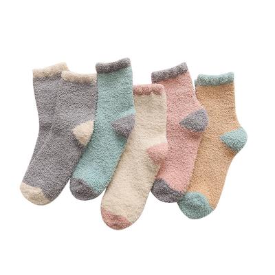 China Winter Lady's Breathable Coral Down Socks Color Floor Thick Warm Towel Adult Socks for sale