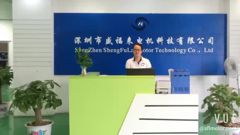 Verified China supplier - Shenzhen Shengfulai Motor Technology Co., Ltd.