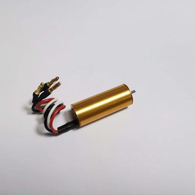 China Totally Enclosed 1230ZWW Long Life Low Noise Micro DC Brushless Motor For Medical Equipment for sale