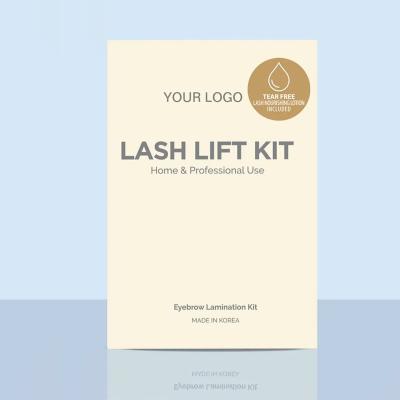 China Lash Lift Cosmetics Lash Lift Glue Balm Home Diy Lash Lift Logo Professional Custom Kit 4 in 1 Lift and Lash Tint Kit for sale