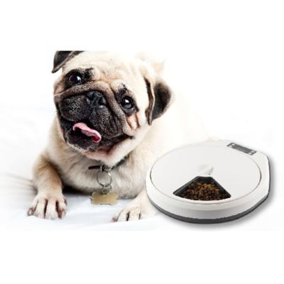 China 5 Smart Meals Wholesale Price Custom Made ABS Viable White Automatic Smart Pet Feeder, Automatic Pet Feeder for sale