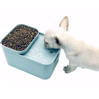 China Automatic Water Properly Feeding Automatic Smart Dog Drinking Station Pet Feeder for sale