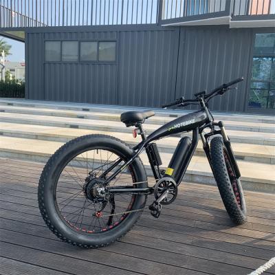 China Electric bicycle 48V10AH aluminum alloy tire fat tire bicycle electric bicycle e bike fat fat tire 48V500W D1 for sale