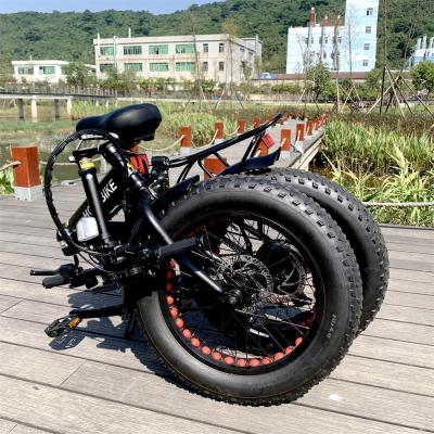 China Aluminum alloy 20 inch 21 speed frame electric bike fat tire mountain aluminum electric bike 500w 750w fat tire for sale