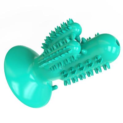 China New Viable Dog Teeth Cleaning Chew Toy Care Tool Cactus Shaped Dog Toothbrush Toy for sale