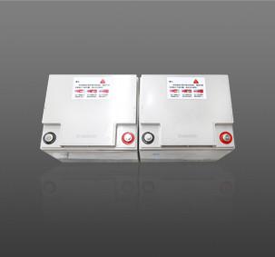 China Professional Fire Alarm Accessories Fire Alarm Backup Battery DC24V for sale