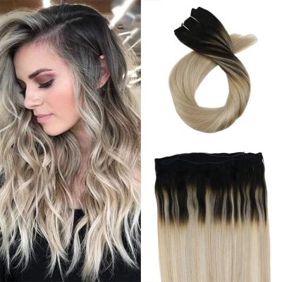 China Silky Straight Wave Factory Price All Color Cut No No Glue Remy Human Hair Fish Wire Hair Halo Hair Extension for sale