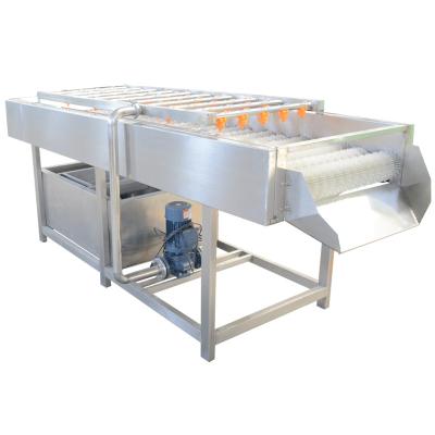 China SUS304 Fruit Vegetable Washing Machine for sale