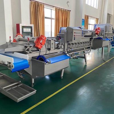 China 380v 2000kg/H Fruit Leaf Vegetable Washing Machine for sale