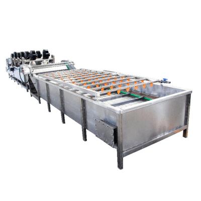 China Fresh Fruit Mango Apple Cleaning Machine 400kg Air Bubble Washing Machine for sale