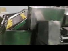 Plantain Chips Processing Machine Small Scale Plantain Chips Making Machine