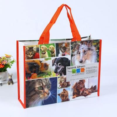 China Sedex Factory Gift Handled China Printing Shopping Laminated PP ECO Woven Carry Bag for sale