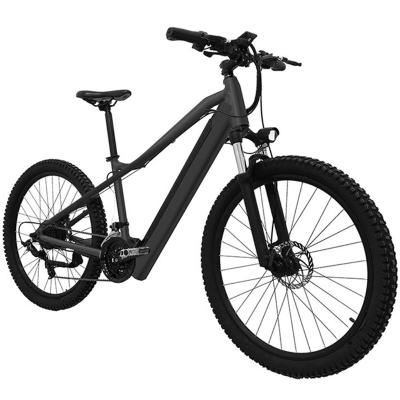 China Good Tire Steel Portable Big Snow Suspension Customized Electric Bike Bicycle for sale