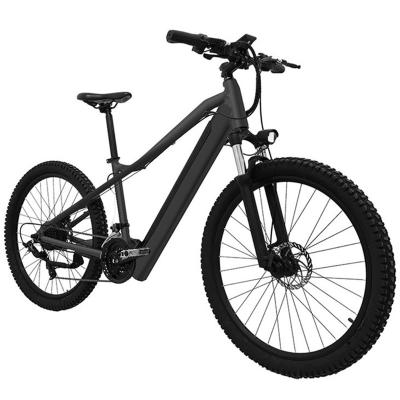 China 2021 Aluminum Alloy Big Power Steel Fat Tire Electric Mountain E Bike Snow Bicycle for sale