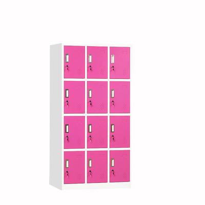 China Moisture Proof School Locker 12 Door Gym Changing Room / Padlock Locker for sale