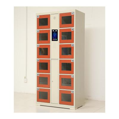 China Metal Cabinet/Luggage Moisture-proof Smart Storage Cabinet/Face Recognition Electronic Locker For School Gym Beach Student for sale