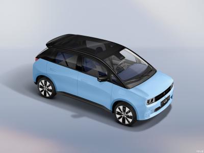 Cina Mini automobile elettrica 2023 in vendita