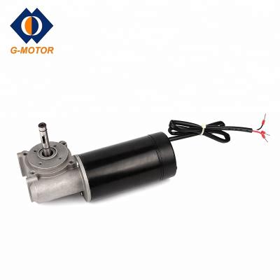 China 12 Volt IP40 DC Worm Gear Motor For Small Auto Equipment for sale