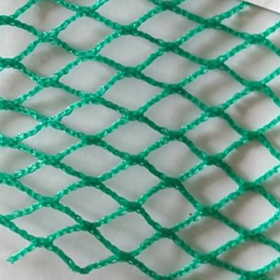 China Fish Net Green High Quality Durable PE 10 Ply 2.0 Cm Fish Net For Growing Fish for sale