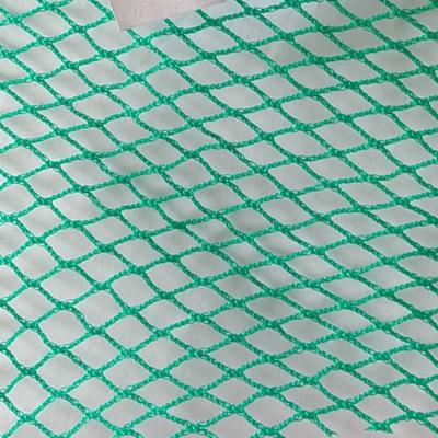 China Fish Net Green High Quality Durable PE 5 Ply Fish Netting For Growing Fish for sale