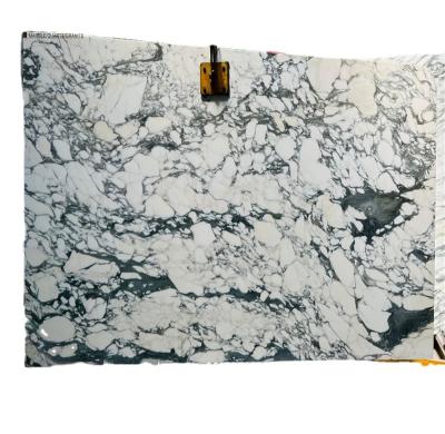 China Freestanding arabescato marble for bathroom wall and stair case with luxury stone arabescato natrual marble slab for sale