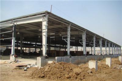 China Prefabricated Steel Structure Warehouse Logistics Park Hot Dip Galvanized for sale