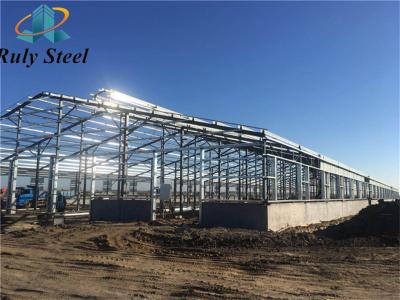 China Prefabricated Portal Galvanized Steel Structure Cowshed Warehouse for sale