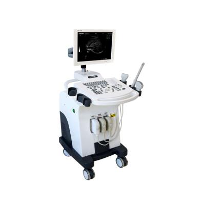 China GH-370 Medical Ultrasound Machine Trolley Full Digital B W Ultrasonic Diagnostic Equipment for sale