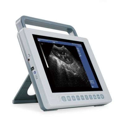 China Veterinary Medical Ultrasound Machine 2D B Mode Ultrasound Scanner GHK10 for sale