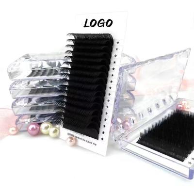 China Long Natural Private Volume Lashes Individual Eyelash Silk Eyelash Extensions Customized Boxes With Logo for sale