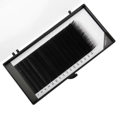 China Best quality cc natural wholesalers long blooming easy fan curl Matte Fluffy Lash Extensions black for sale