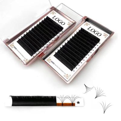 China Long Natural Newcomer 0.03 0.05 0.07 Easy Blooming Quick Fanning Volumes Lash Eyelash Extensions for sale