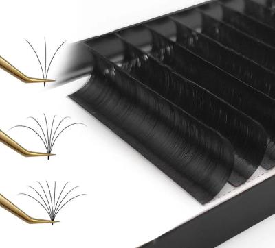 China Easy Fast Blooming Curl Lash Volume 8~20mm D Fan Extensions Natural Cheap Silk Long Eyelash Trays for sale