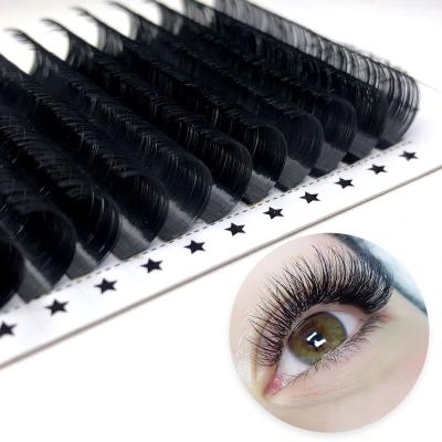 China Long Logo Length Customized Natural 8-25mm J Since C Dual Density Classic Fluffy Korean Loop PBT Eyelash Extensions for sale