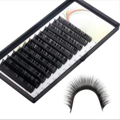 China OEM Private Label Natural Korean Fiber Pbt 0.05 0.07 Long Soft Hair 0.03 False Lashes Flat Eyelash Extensions for sale