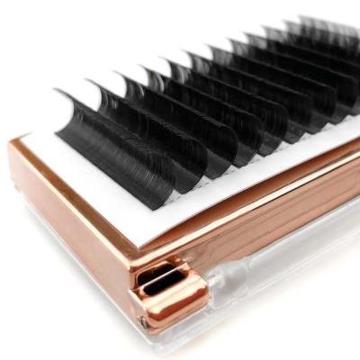 China Reasonable Price Natural Private Label Long Individual Bulk Korean Pbt Lashes Eyelash Extension Fast Fanning for sale