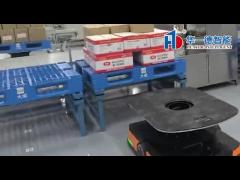 Cold Chain ASRS,Automated Storage and Retrieval System