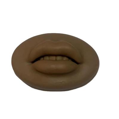 China Wholesale Microblading Tattoo PMU Supplies 3D Face Silicone Permanent Makeup Ombre Lips Peel Tattoo Microblading Practice Skin For Body Art for sale