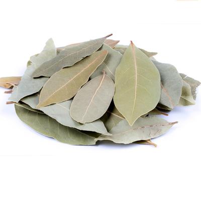 China Dry Simple Spices Bark Laurel Leaves Without Additives for sale