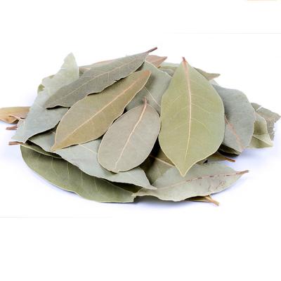 China Fresh Berry Laurel Leaves Dry Suitable Multiple Kitchen for sale