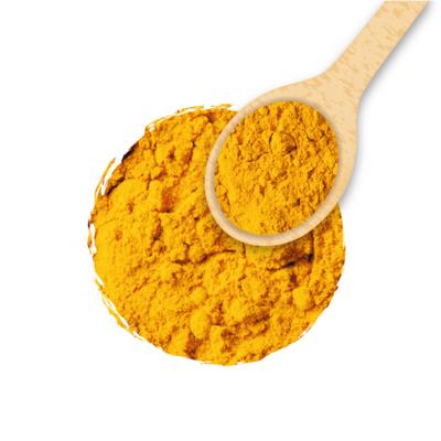 China Turmeric Bulk Powder Supplier Dried Simple Spices for sale