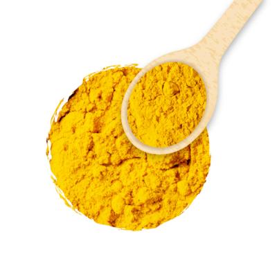 China Dried turmeric powder indian herbs and spice for sale