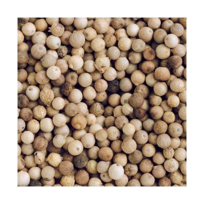 China Good Quality Dry White Pepper Wholesale Supplier for sale