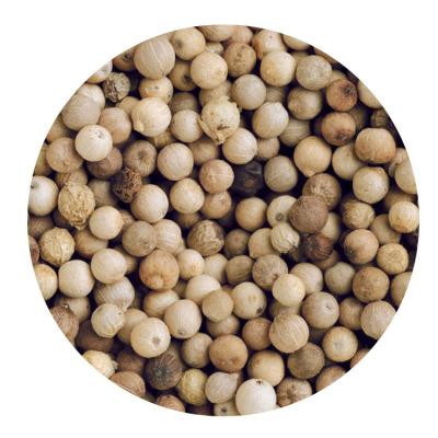 China Wholesale Good Quality Dry White Pepper Price for sale