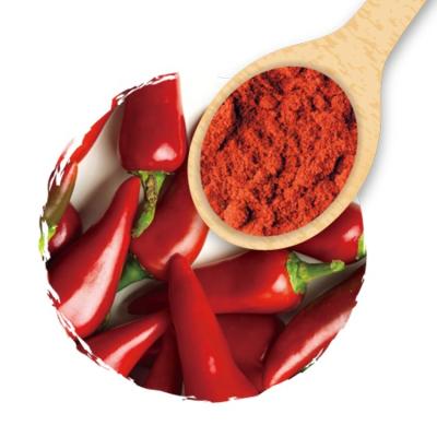 China Dried Simple Herbs and Spices Chili Powder Natural Red Color for sale