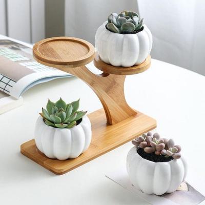 China 3 Tiers Design Easily Gathered Creative Treetop Shaped Plant Flower Pots Shelf Flower Rack Succulent Bamboo Display Stand for sale