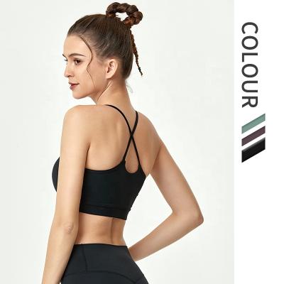 China Breathable Soft Padded Women High Impact Performance Sports Training Wire Free Bra for sale